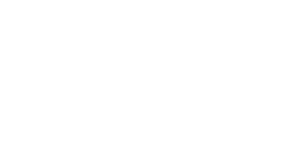 Logo_OFF Group_blanc fond t